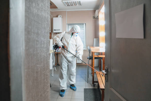 Best Mold Prevention Services  in Lead, SD